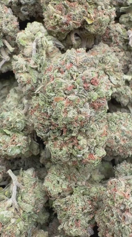 Lemon Cherry Biscotti - Bulk - Hybrid