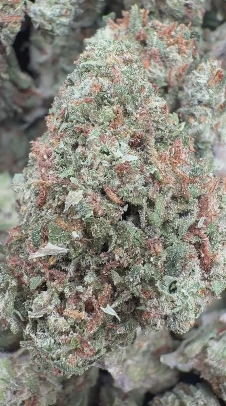 Animal Mintz - Bulk - Hybrid