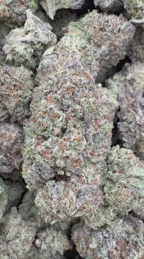 Oreo Runtz - Bulk - Hybrid