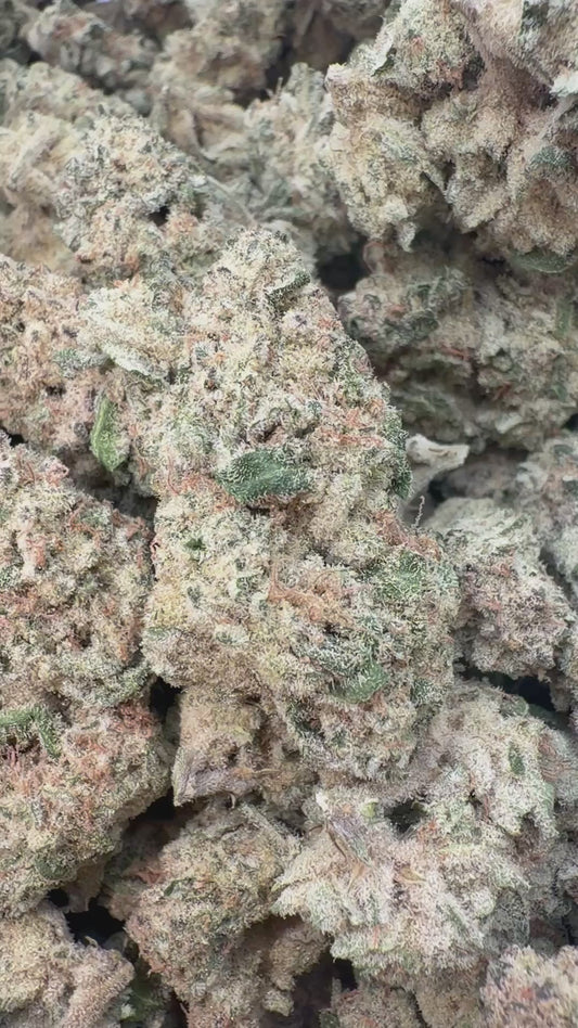Sugar Cookies - Bulk - Indica