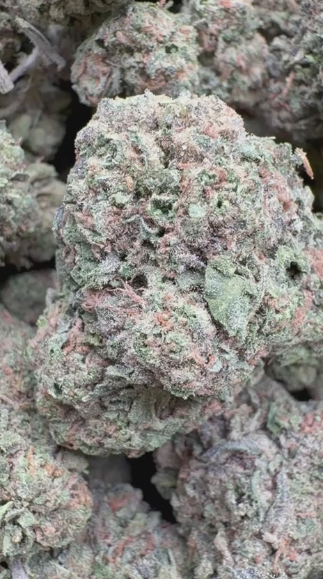 Blue Runtz - Bulk - Hybrid