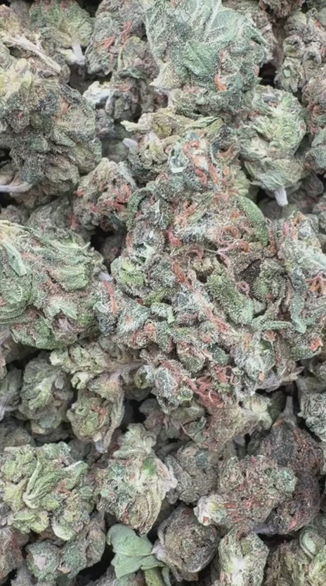Cookies and Cream Minis - Bulk Minis - Hybrid
