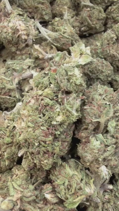 Burger Breath - Bulk - Indica