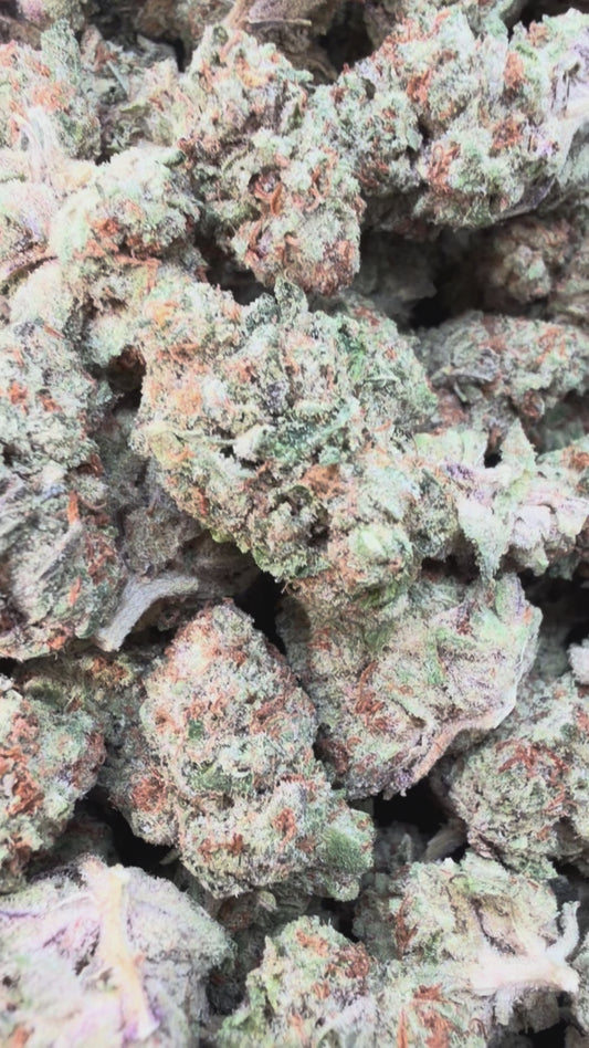 Rainbow Runtz Mediums - Bulk Mediums - Hybrid