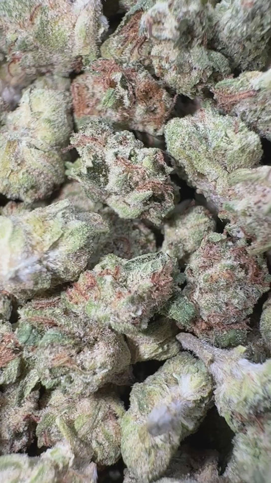 Raspberry Kush Micros - Bulk Micros - (Indica)