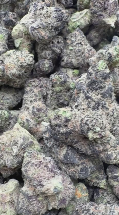 Grape Gas Indoor - Bulk - Hybrid