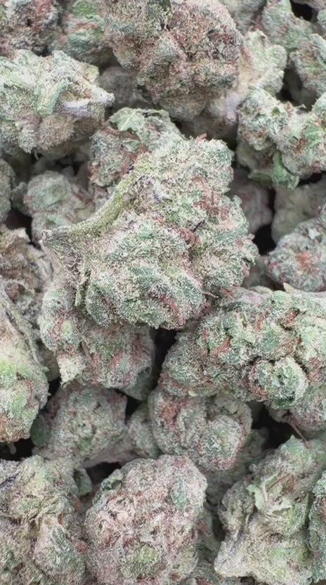 Blueberry Zkittlez Minis - Bulk Minis - Indica