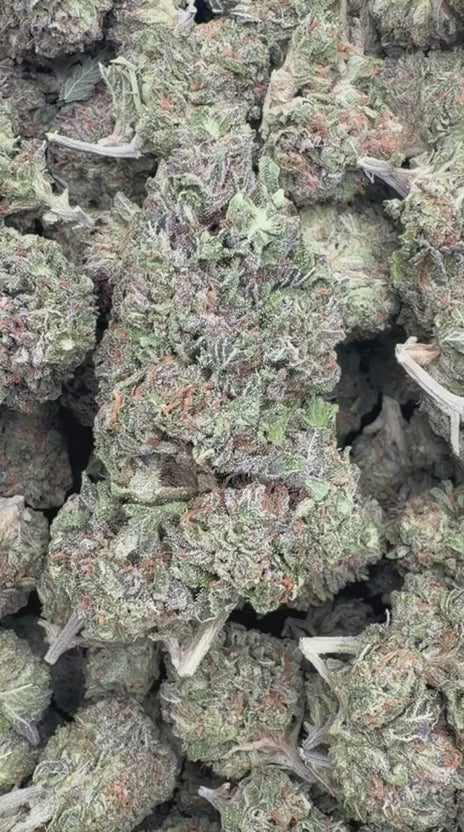 Runtz - Bulk - Hybrid