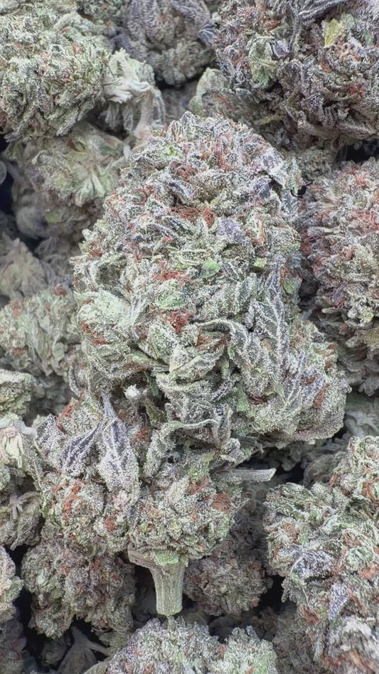 Sunset Sherbet Indoor - Bulk - Indica