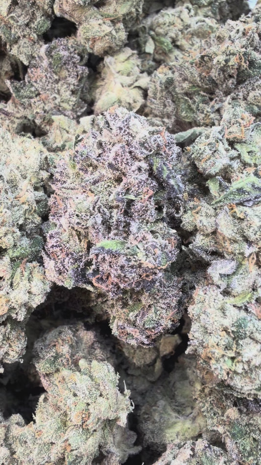 Nuclear Zkittlez - Bulk - Hybrid