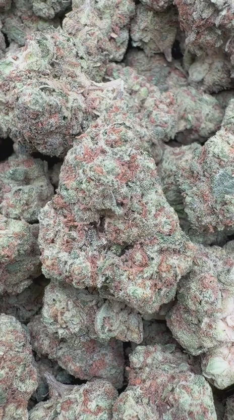 SinMint Cookies - Bulk - Indica