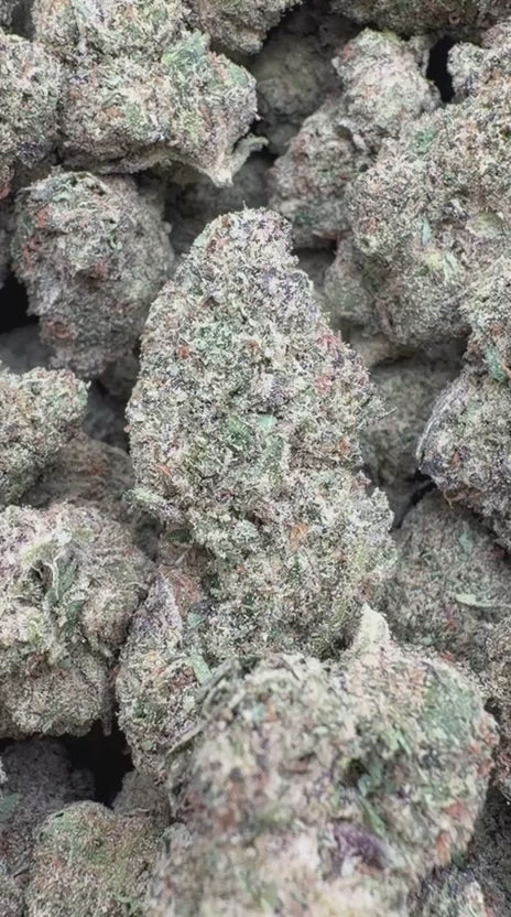 Icy Pop - Bulk - Hybrid