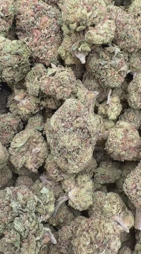 Jet Fuel Gelato x Peach Rings - Bulk - Hybrid