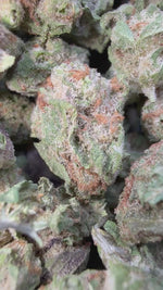 Blueberry Syrup Minis - Bulk Minis - Hybrid