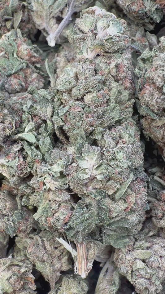 Bubble Yum - Bulk- Hybrid
