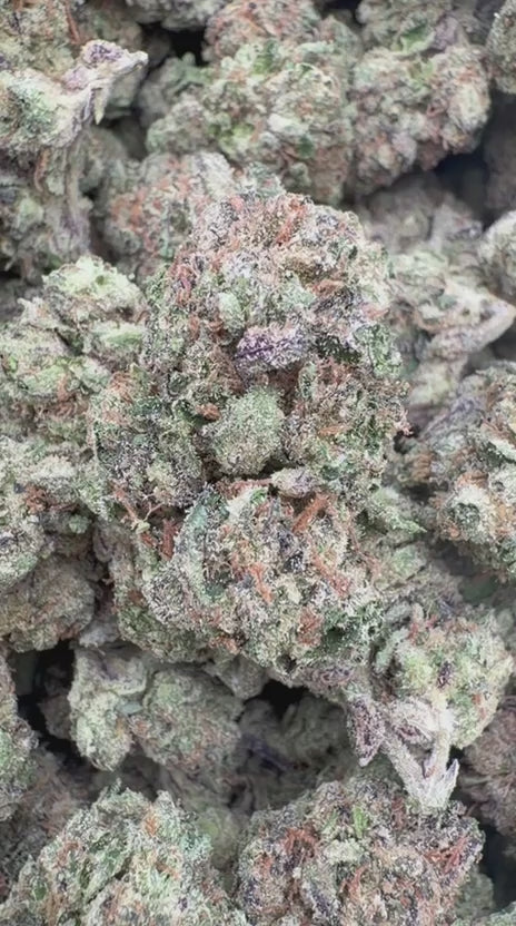Pop Rocks - Bulk - Hybrid
