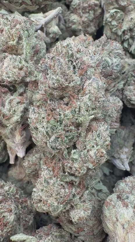Bruce Banner - Bulk - Hybrid