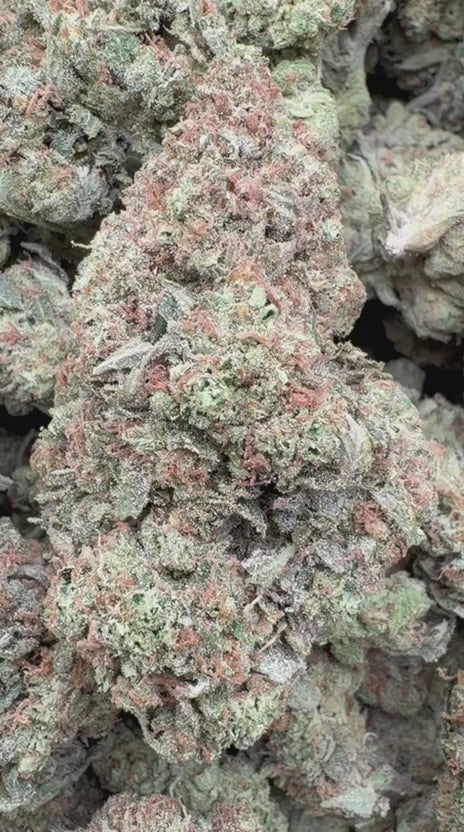 Laughing Gas - Bulk - Hybrid