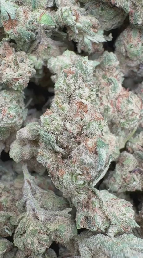 Hard Candy Littles - Bulk Littles - Indica