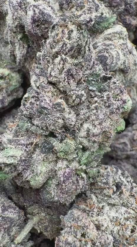 Oakland Runtz Indoor - Bulk - Hybrid