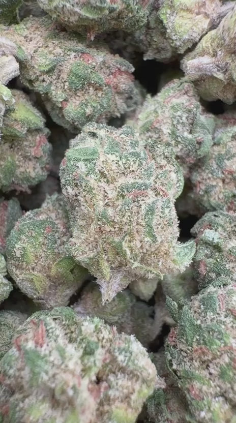 Blue Runtz Minis - Bulk Minis - Hybrid