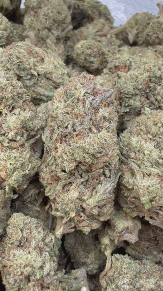 Slapz Mediums - Bulk Mediums - Hybrid