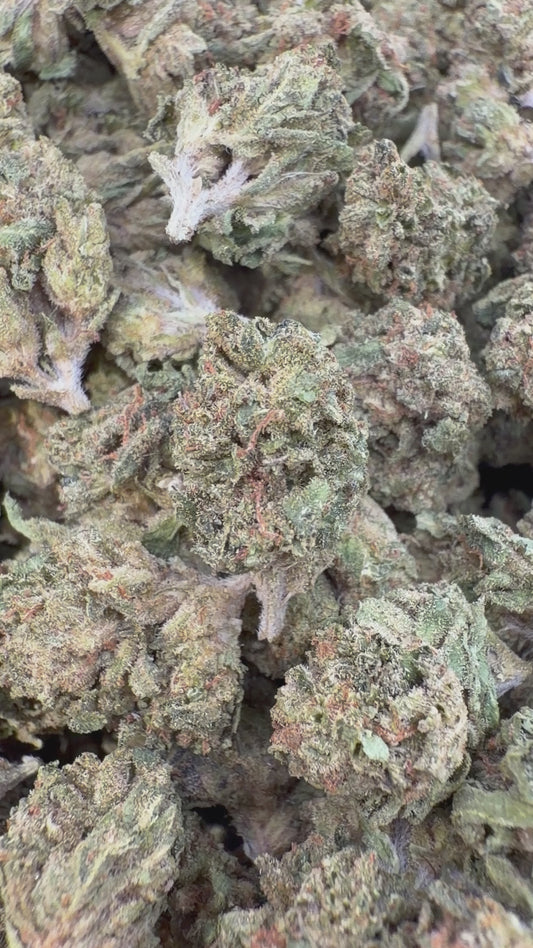 Grease Monkey Minis - Bulk Minis - Indica