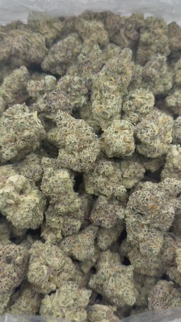 Blueberry Cough - Bulk - Sativa
