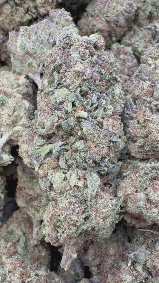 Grape Cream Cake - Bulk - Indica