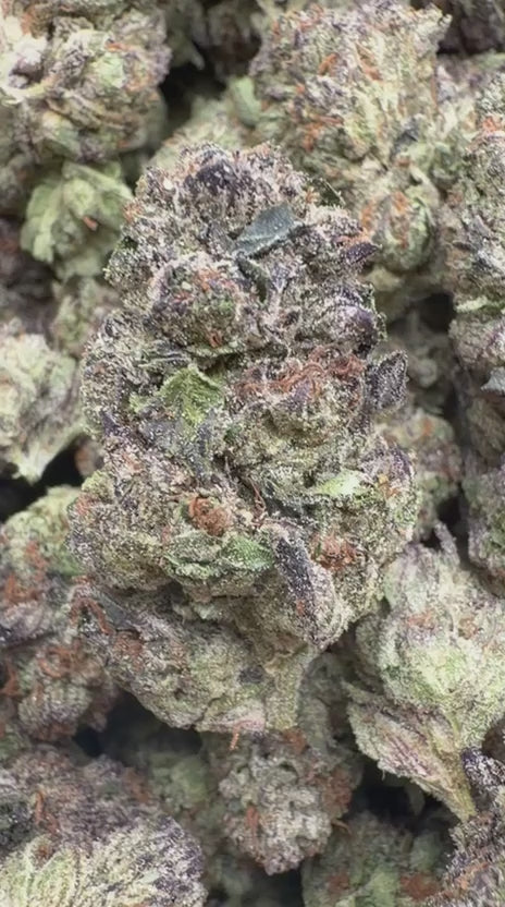 Black Cherry Runtz Indoor - Bulk - Indica