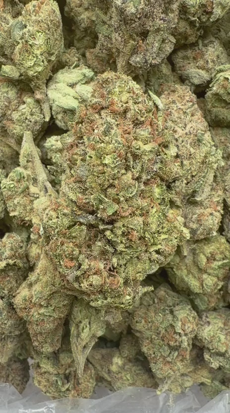 Hard Candy - Bulk- Indica