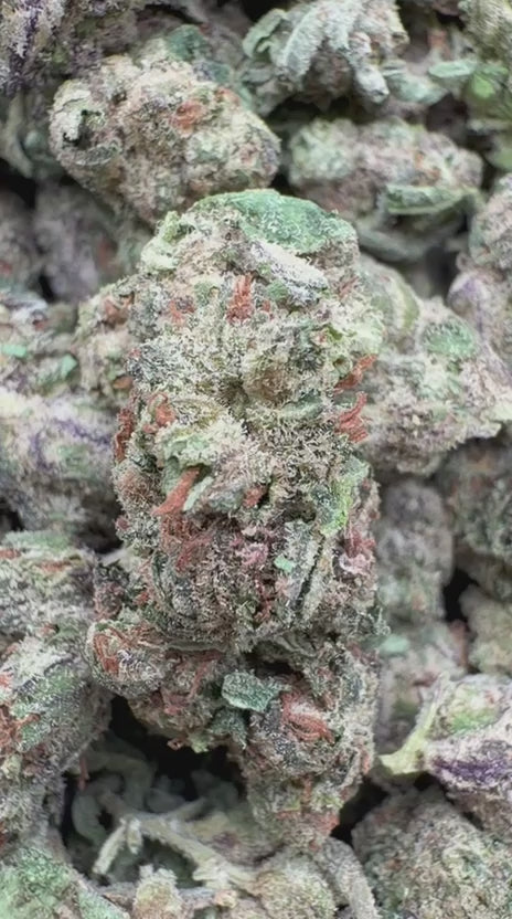 Jolly Ranchers Indoor Mediums - Bulk Mediums - Indica