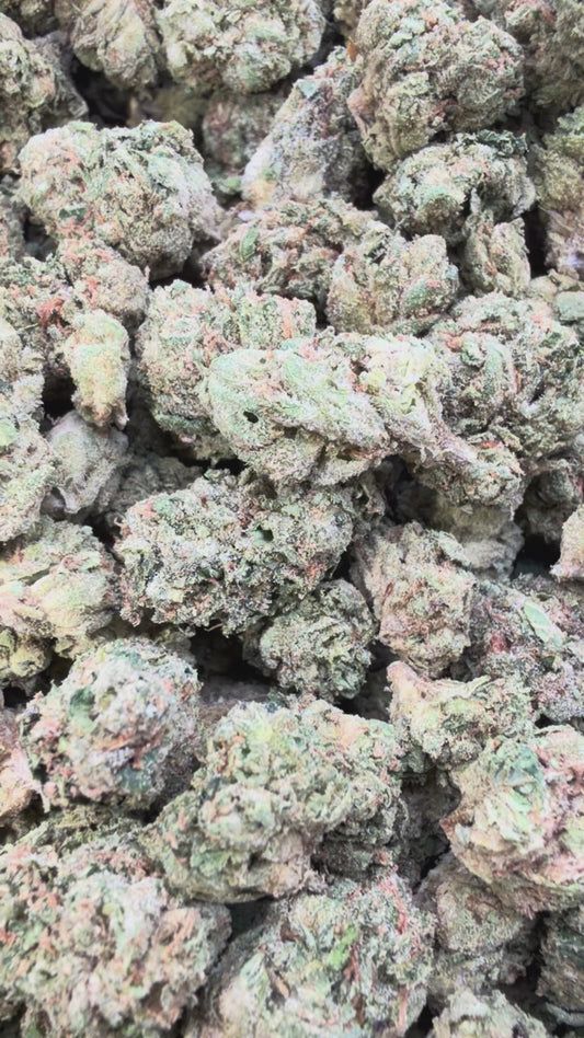 Red Runtz Minis - Bulk Minis - Hybrid