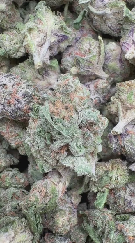 Do Si Dos x Lava Cake Minis - Bulk Minis - Indica