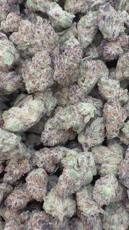 Ice Runtz Indoor Minis - Bulk Minis - Indica