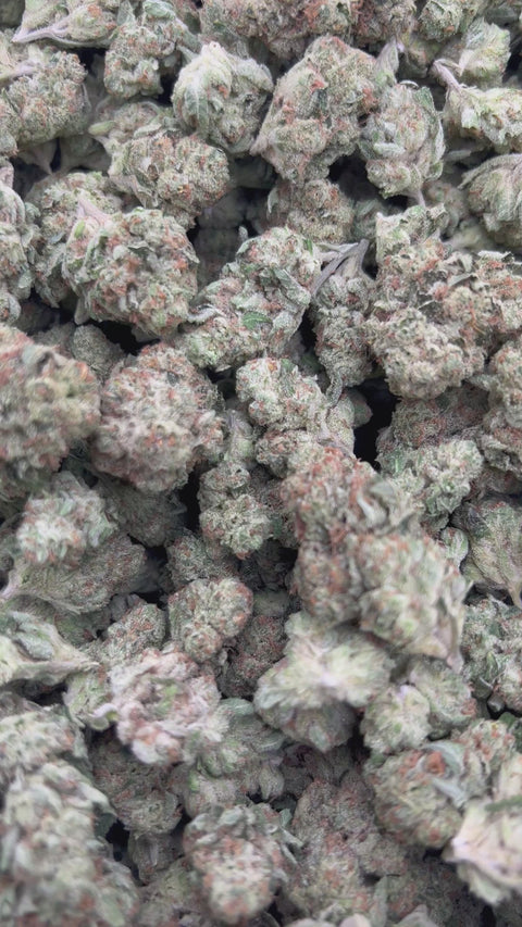 OG Kush - Bulk - (Indica)