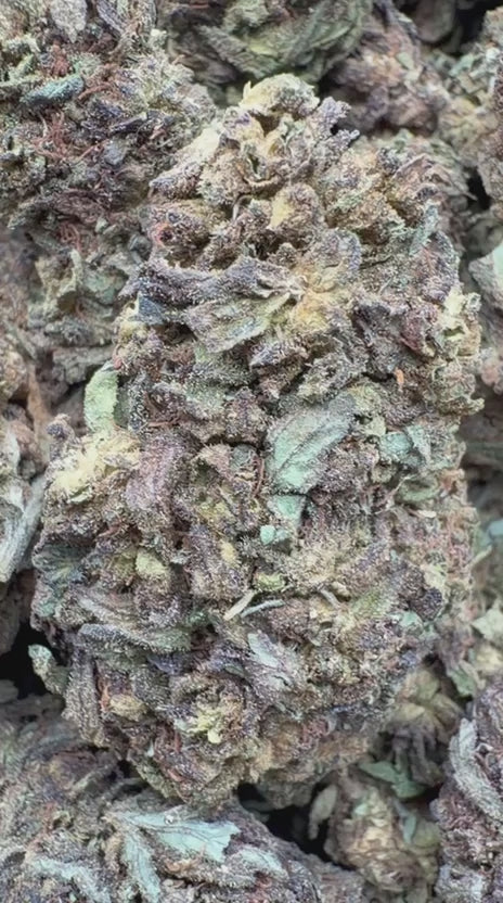 Strawberry Gelato - Bulk - Hybrid