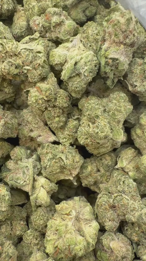 Cheetah Piss Mediums - Bulk Mediums - Hybrid