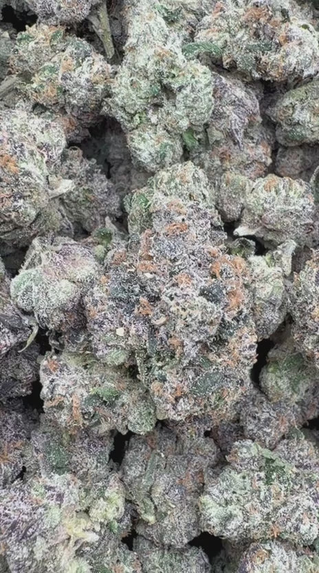 Candy Runtz Indoor - Bulk - Hybrid