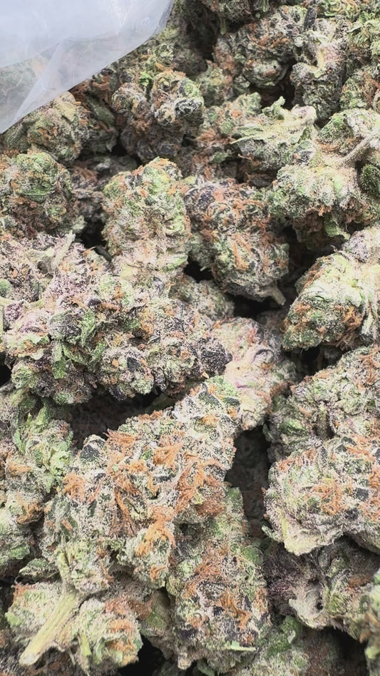 Do Si Dos x Lava Cake - Bulk - Indica