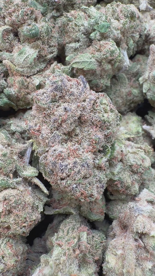 Alaskan Thunder Fuck Indoor - Bulk - Sativa