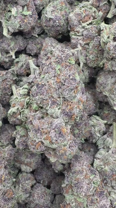 Forbidden Fruit - Bulk - Indica