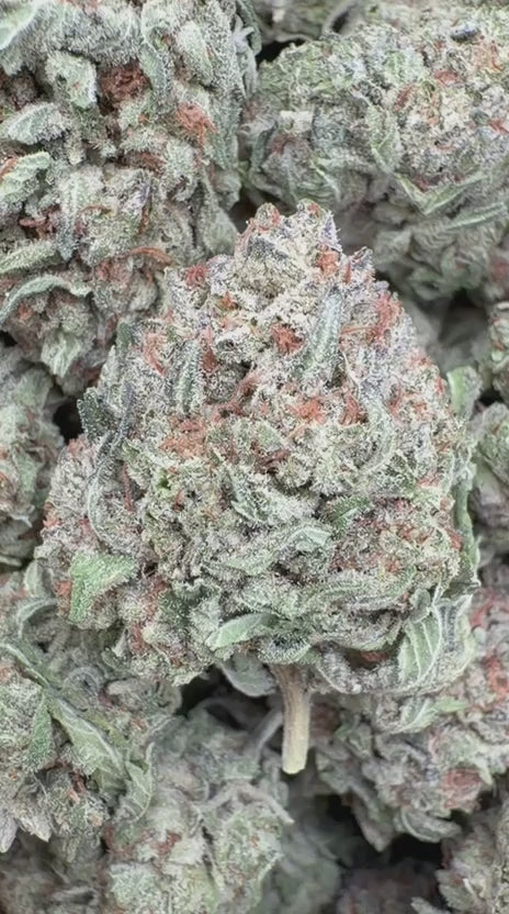 Oreoz - Bulk - Indica