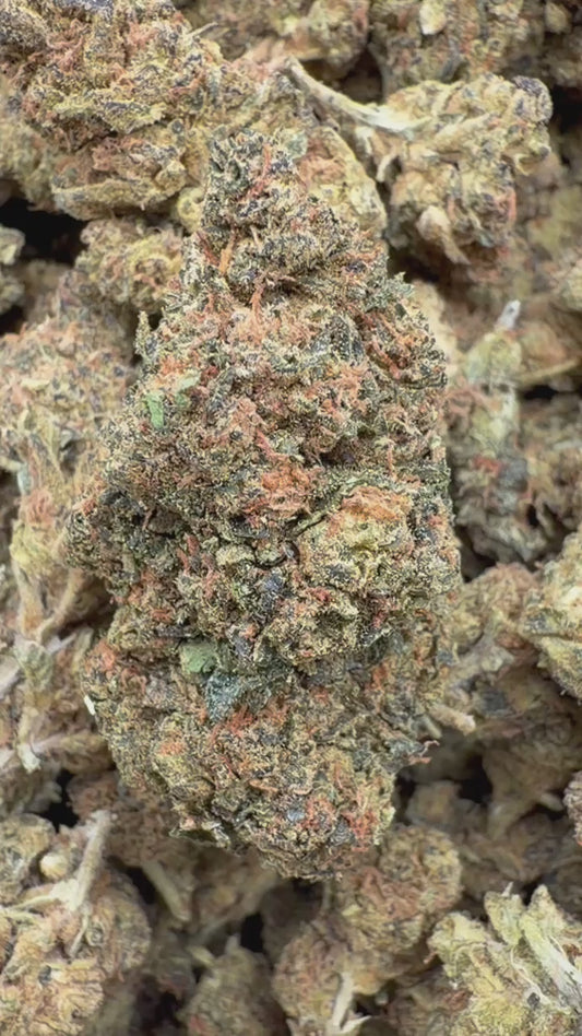 London Pound Cake 97 - Bulk - Indica