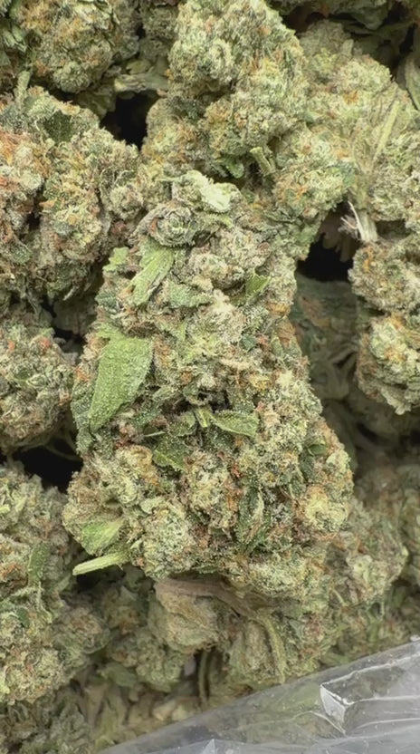 Gelato Cake - Bulk - Hybrid