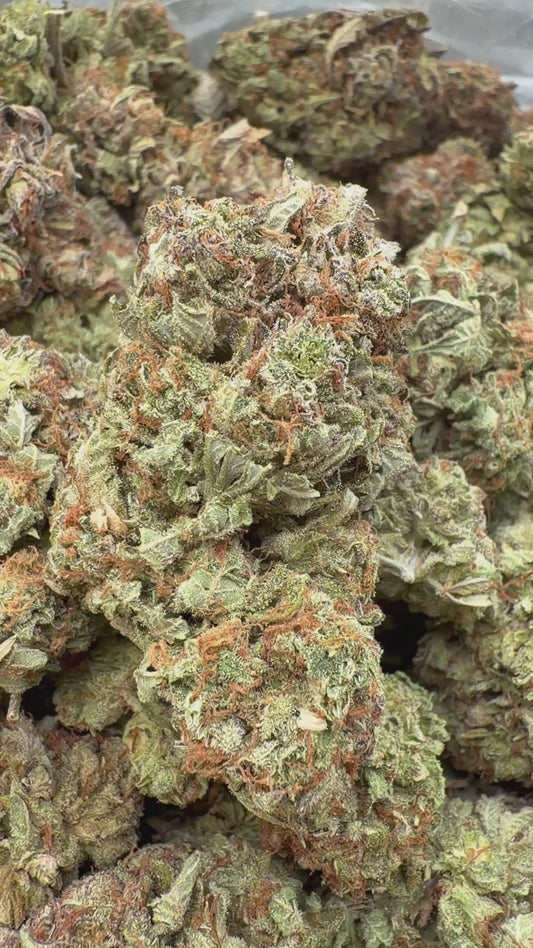 Bubba Kush Indoor - Bulk - Indica