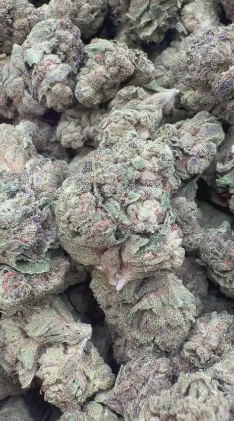 Blackberry Kush - Bulk - Indica