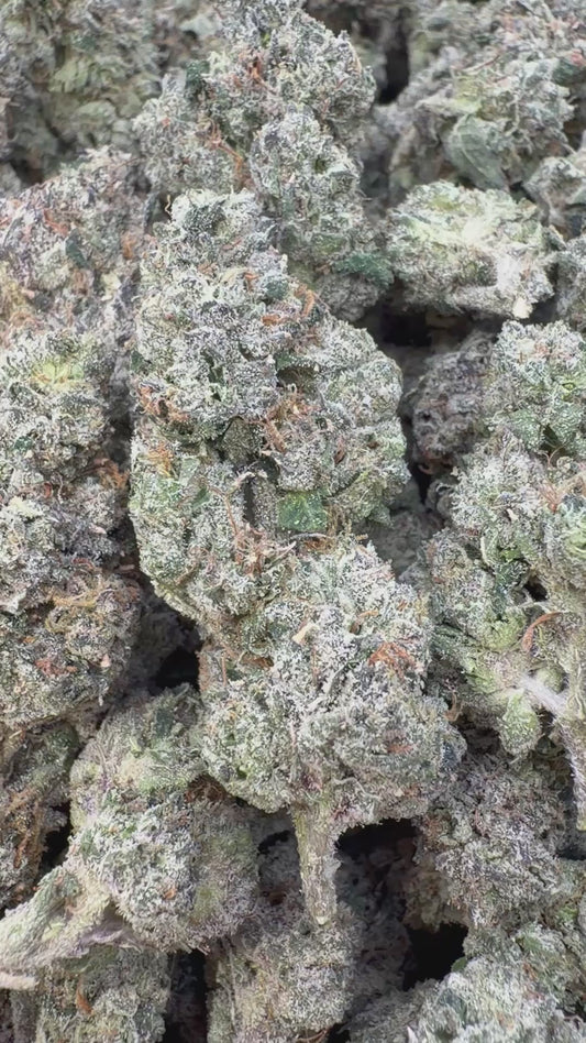 Banana Runtz Indoor - Bulk - Hybrid
