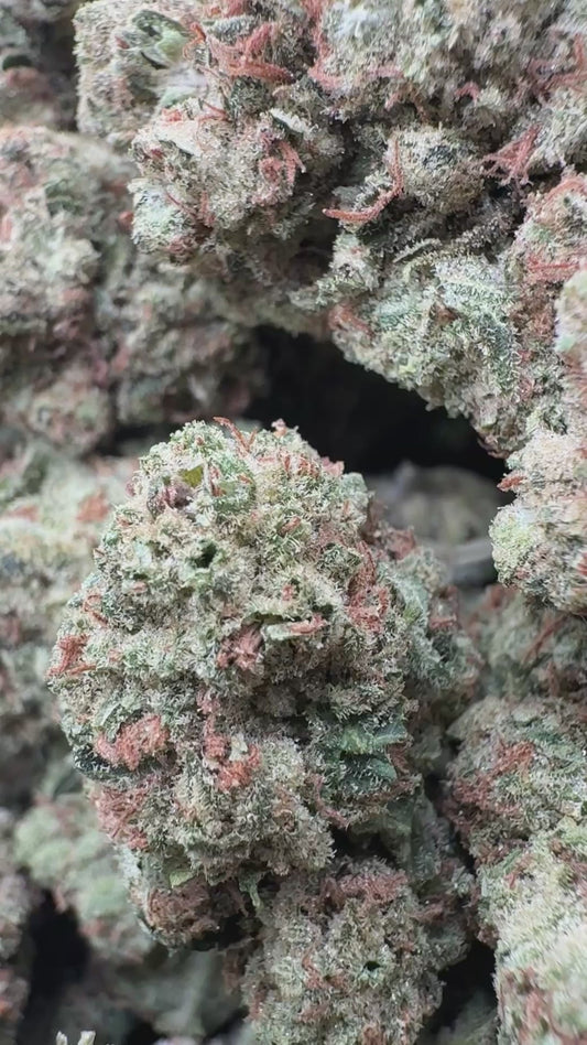 Laughing Gas - Bulk - Hybrid