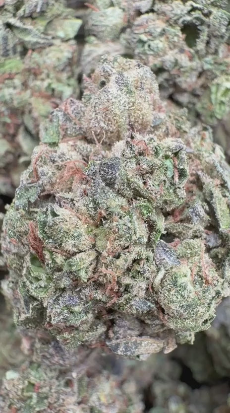 Sharpie Candy - Bulk- Hybrid